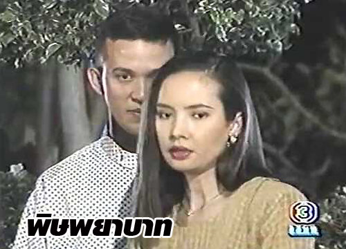 พิษพยาบาท 2538