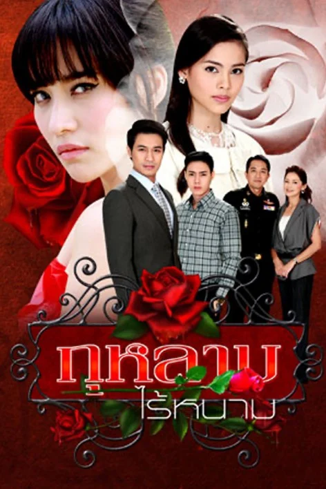 กุหลาบไร้หนาม 2553